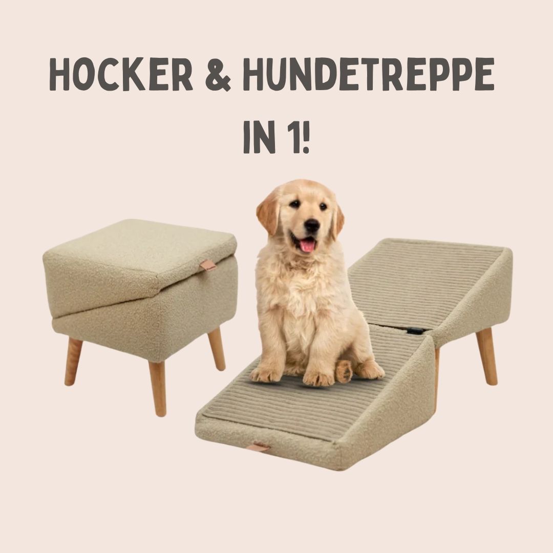 Hundetreppe für Bett & Sofa | Hund Rampen & Hocker in Einem | SofaFriend